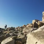Terra *