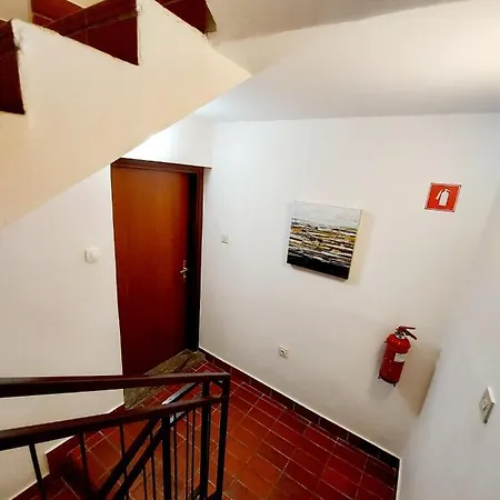 Terra Piran