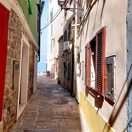 Terra Piran