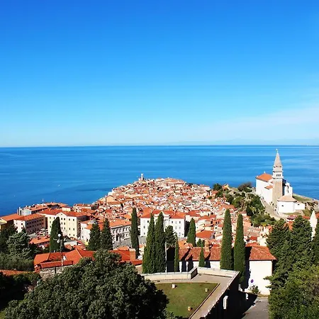 Terra Piran
