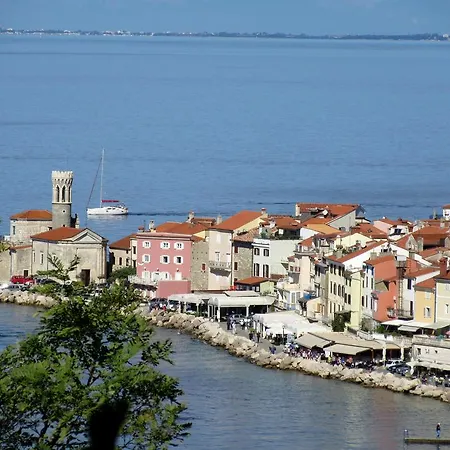 Terra Piran