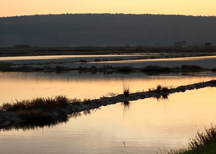 Terra Διαμέρισμα