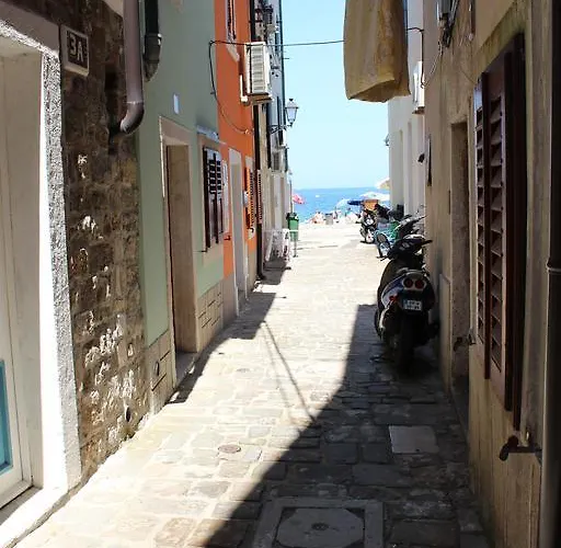 Terra Διαμέρισμα